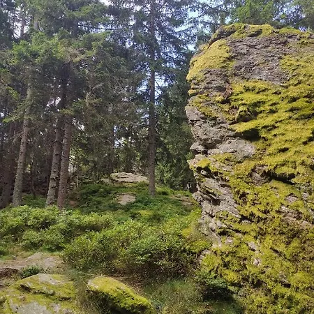 Bosice U Javorniku Vacov