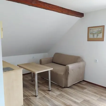 Bosice U Javorniku Apartament Vacov
